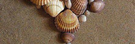 Dr kandeh (محمد) banner