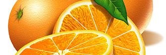 CiroConto's profile banner image