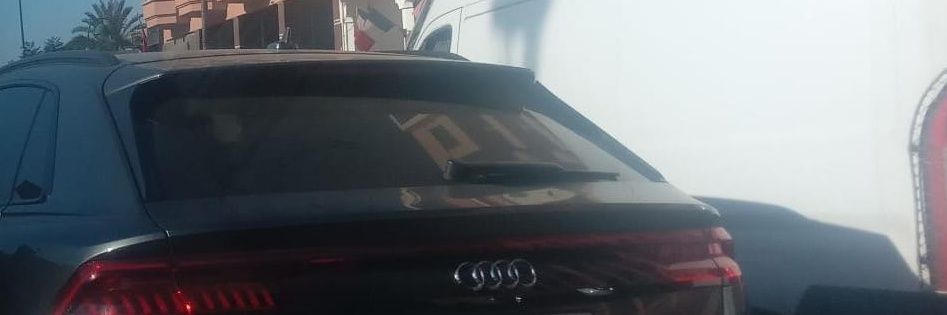 الوحش مفترس banner