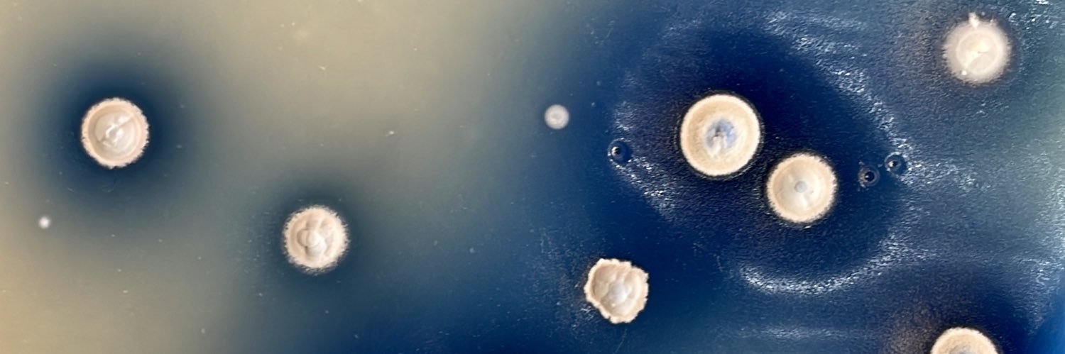 Streptomyces coelicolor's banner