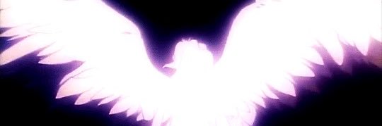 sereneoolong67's profile banner image