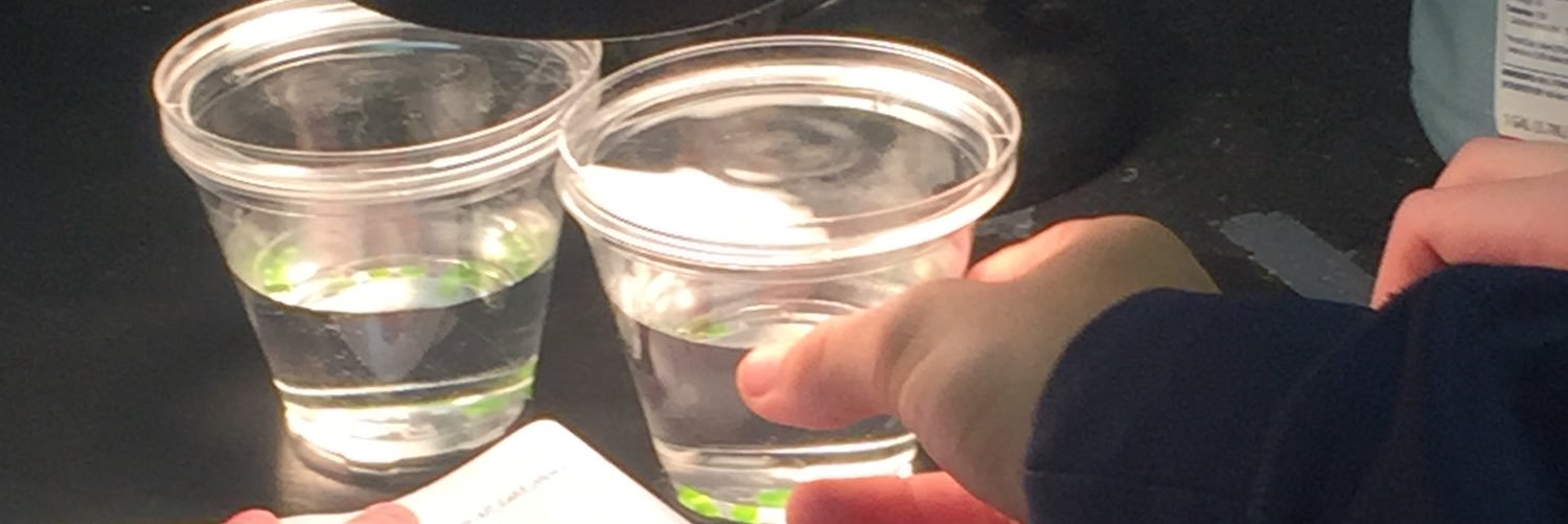 mscoxEJMS's profile banner image