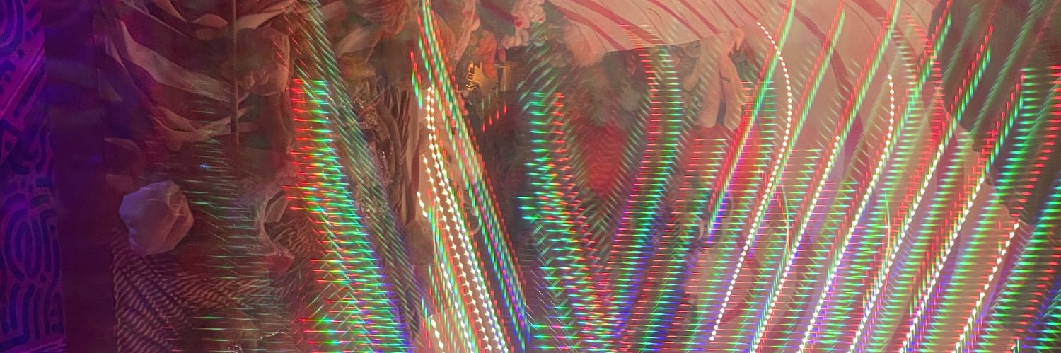 LindseySweeden's profile banner image