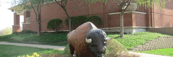 BGrovePatch Profile Banner