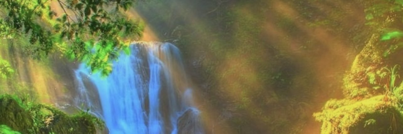 shadowfreaklove's profile banner image