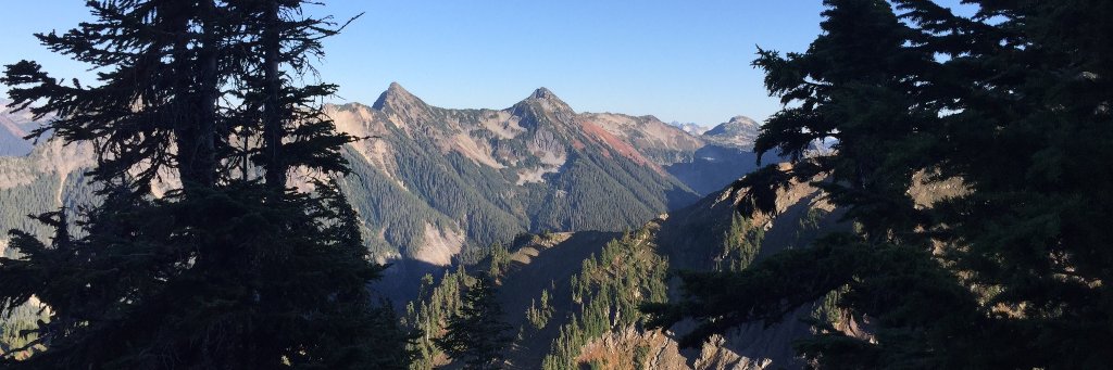 Mary Camfield banner