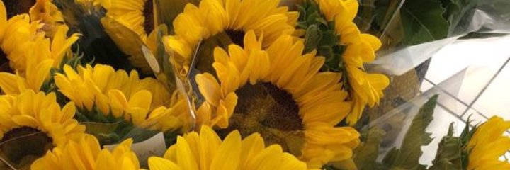 ilennnputri's profile banner image