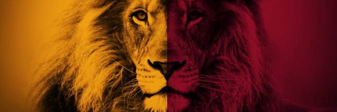 GSFAN666's profile banner image