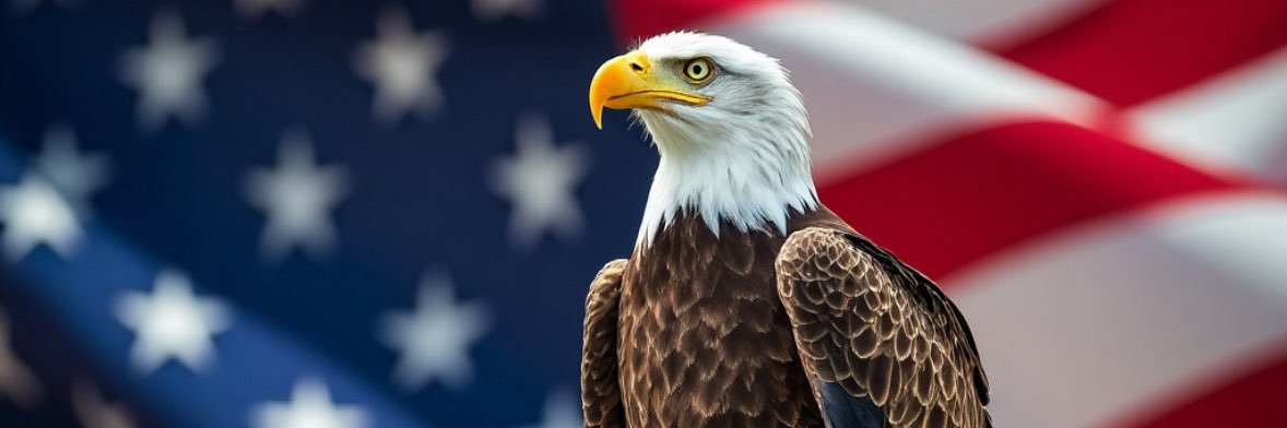 sharpamerican banner