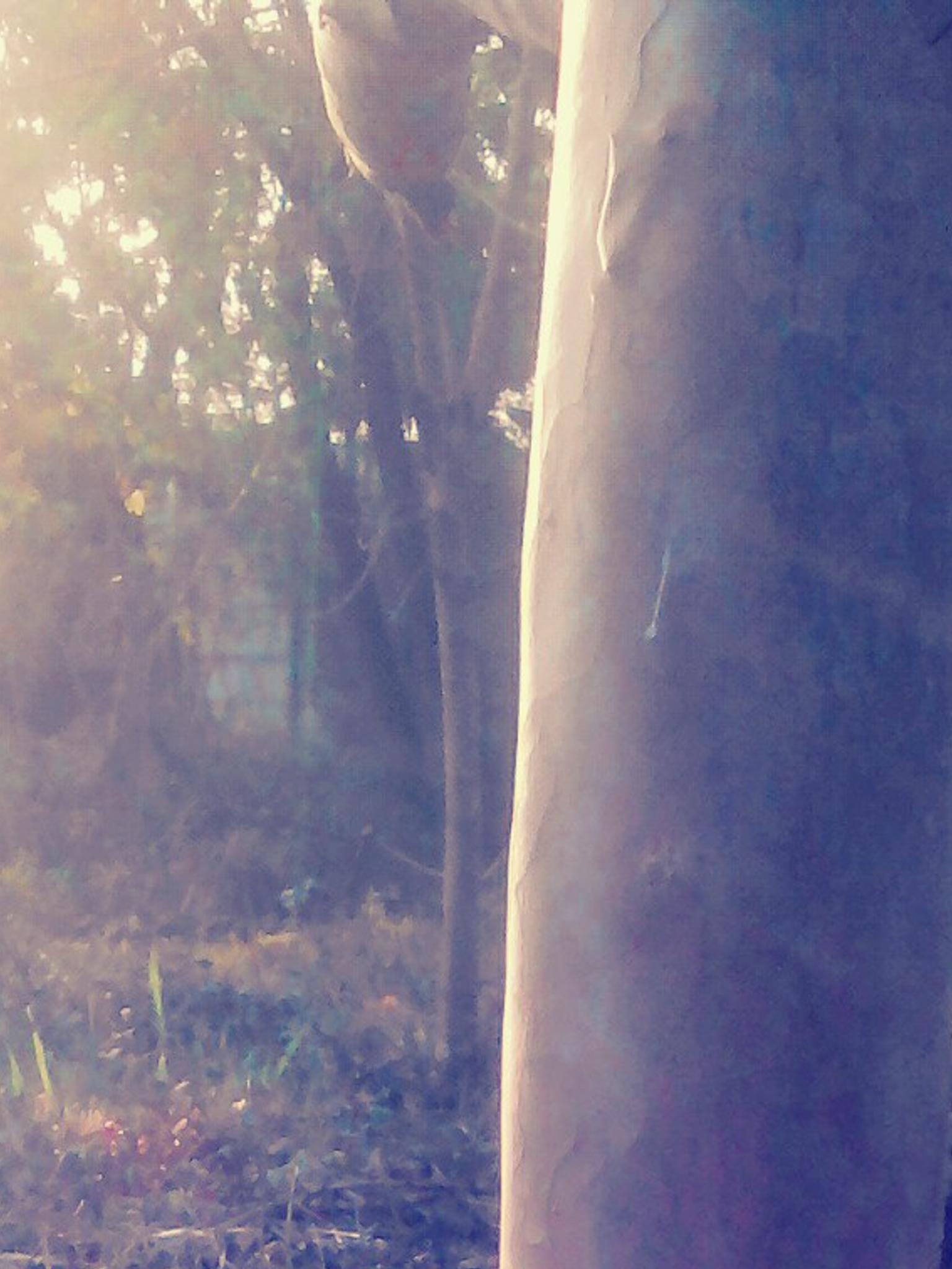 NOVALDIMW's profile banner image
