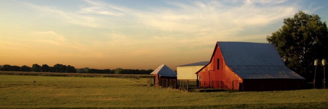 Elizabeth Stone banner