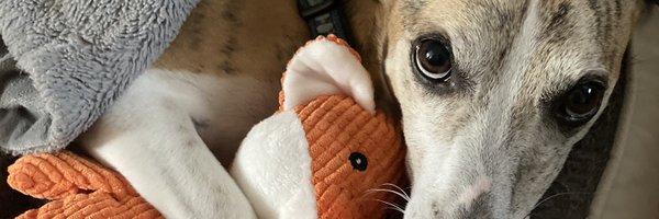 Bottom4Patricia Profile Banner