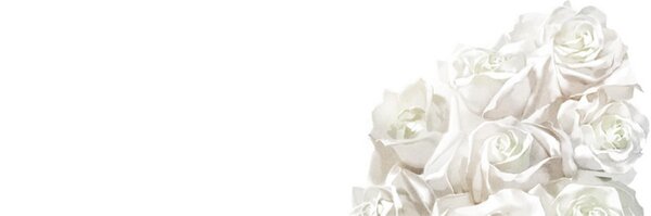 o0Par0o Profile Banner