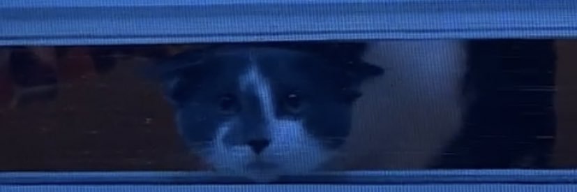 Sami_BSanker's profile banner image