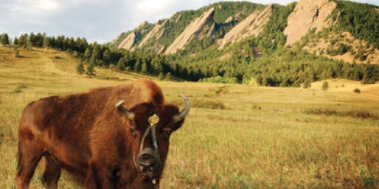 ADX_Pi's profile banner image