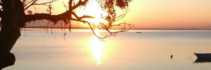 TQueirois's profile banner image
