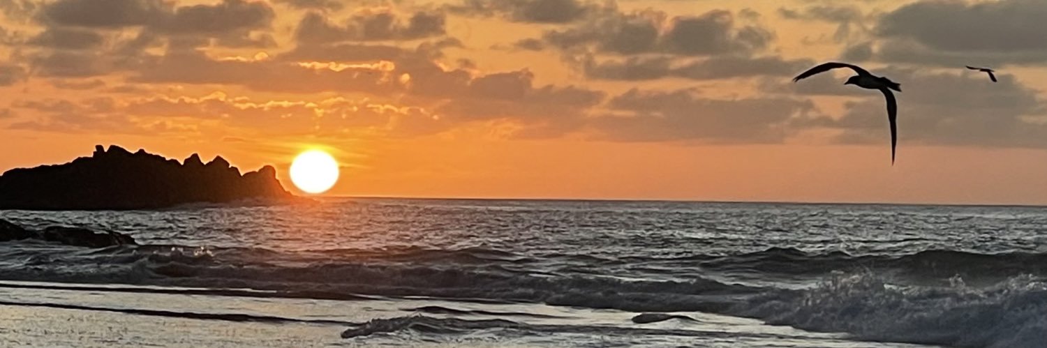 ADVMSANTANA's profile banner image