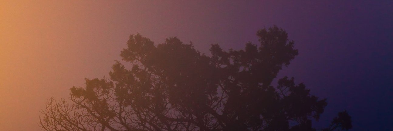 sage_brown's profile banner image