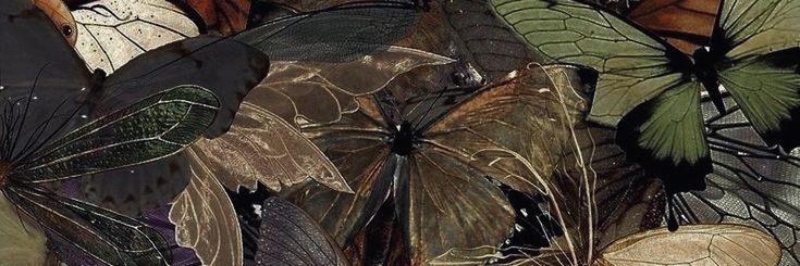 Ryujjna's profile banner image