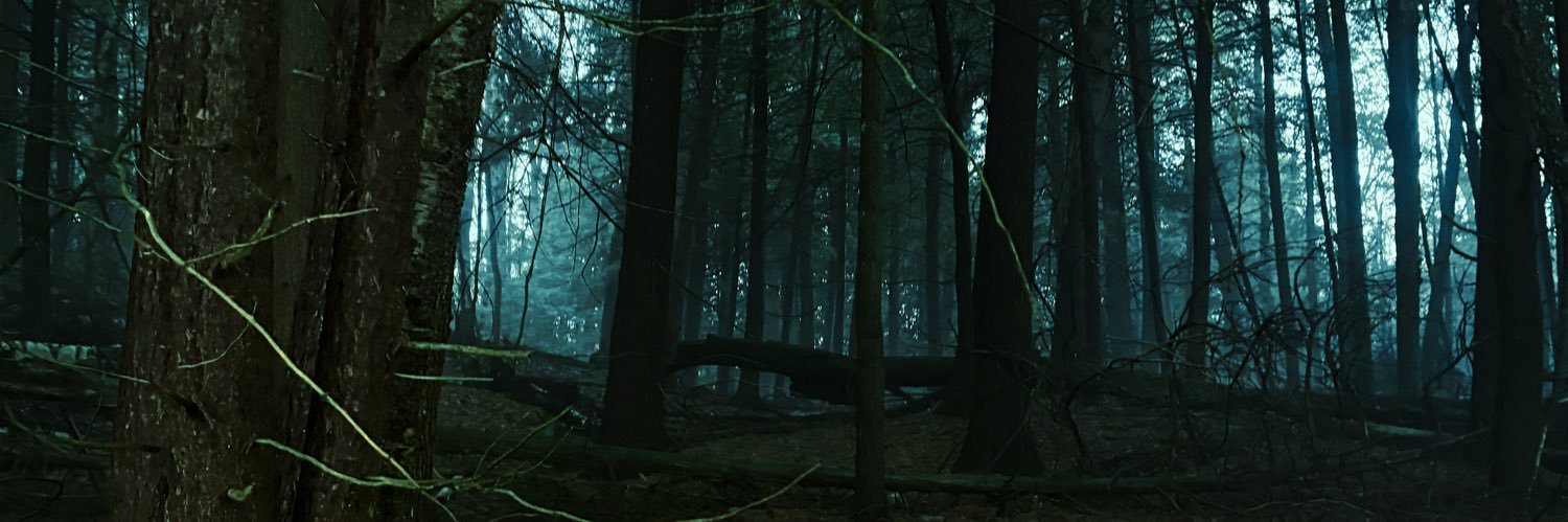 dbglovesyou's profile banner image