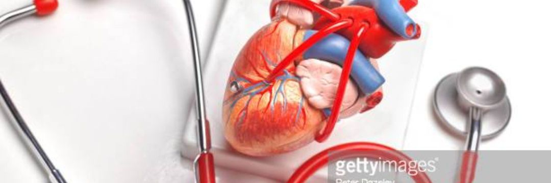 Karr Kay. PhD banner