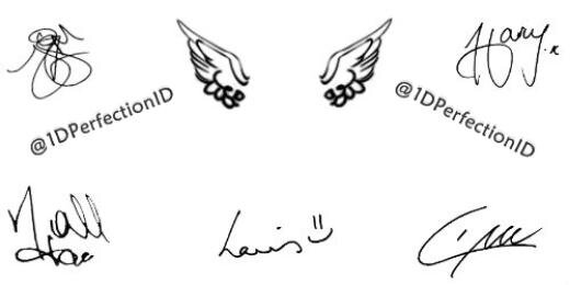 1DPerfectionID's profile banner image