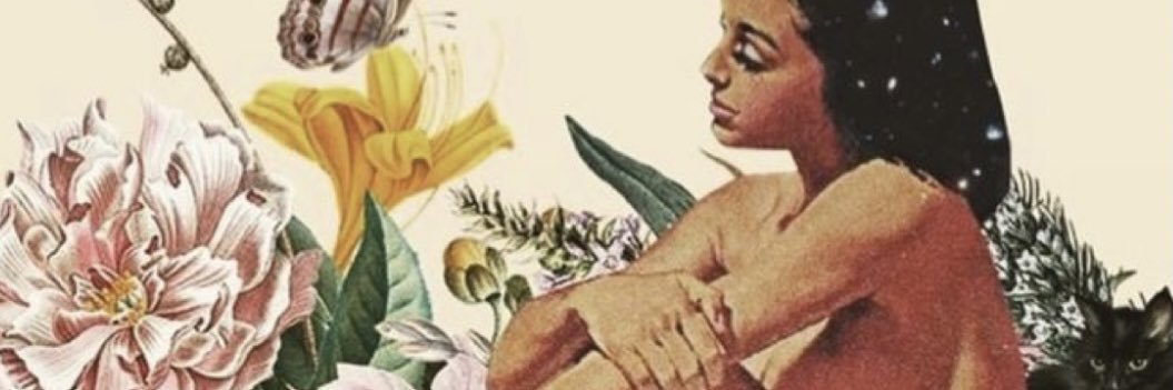 tracydestefano's profile banner image