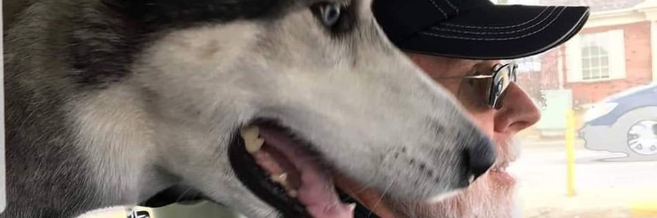 PaddyKilroy's profile banner image