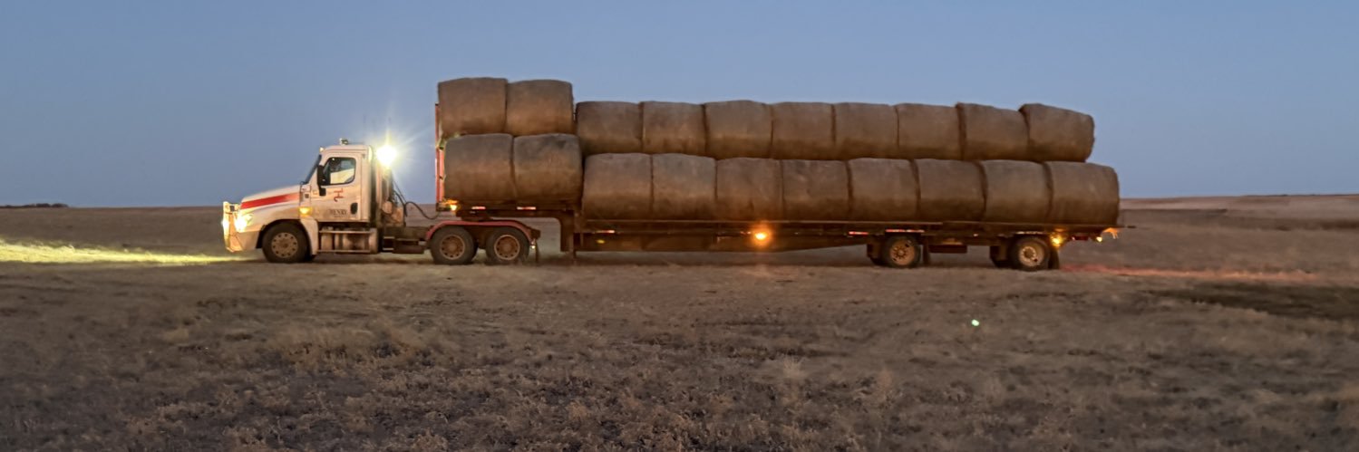 Auction Time Dallas banner