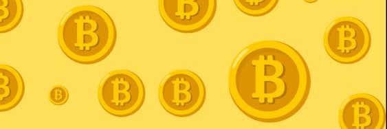 ₿itcoinCat🐱 banner