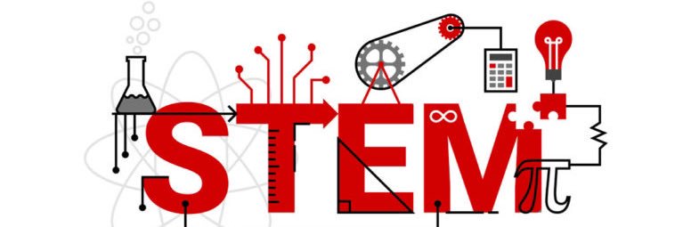 Ms. McLaughlin banner