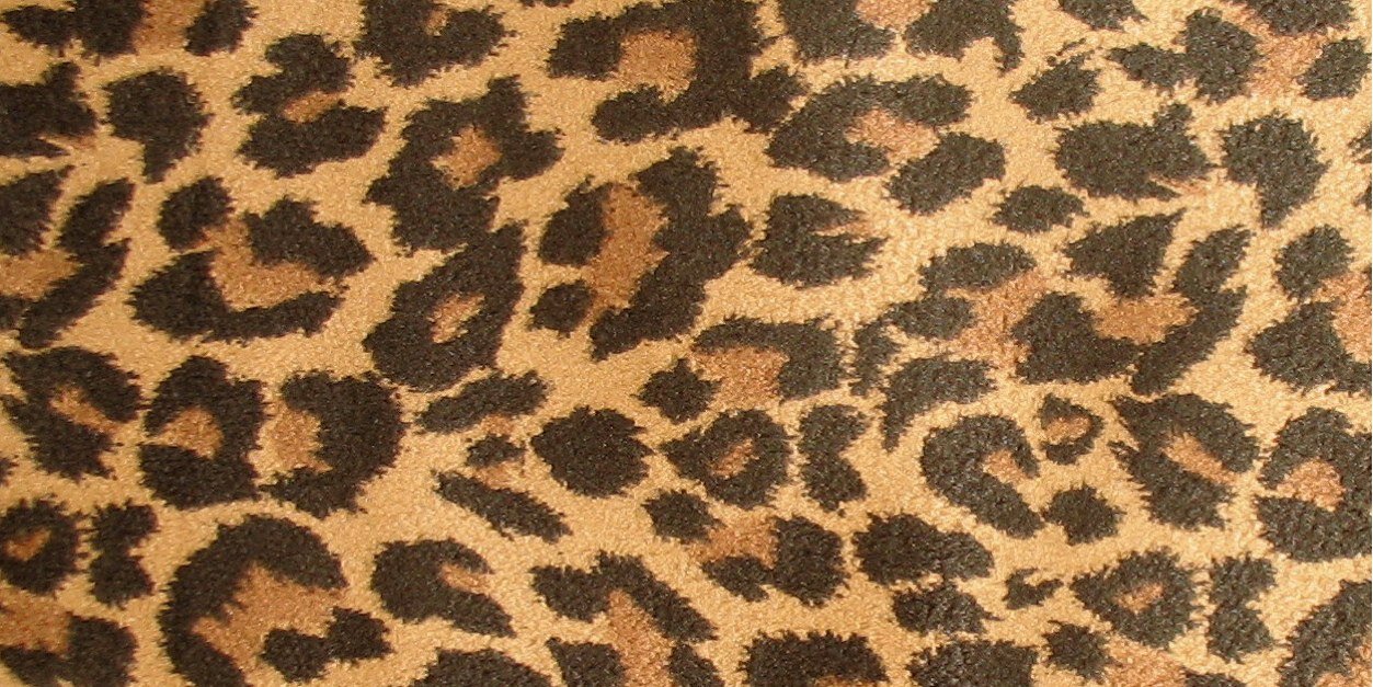 brunetttegal's profile banner image