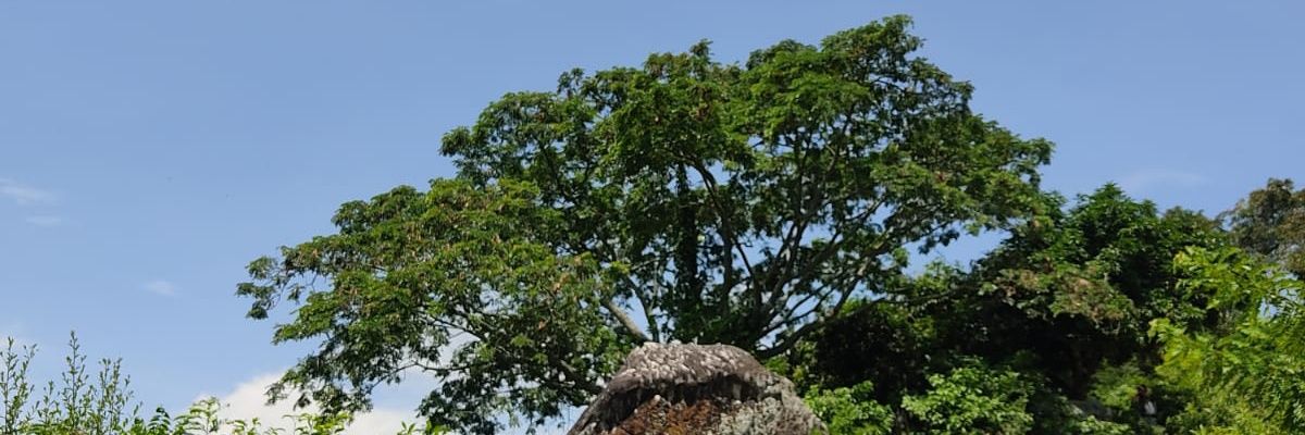 Dianiscast's profile banner image