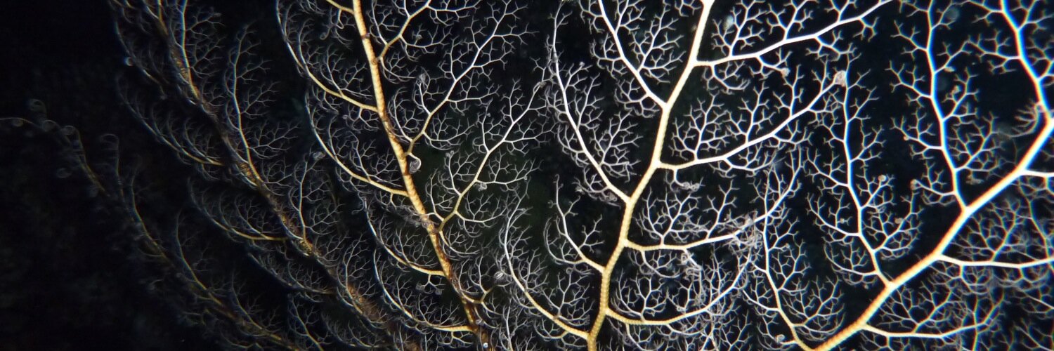 Luke Thompson 🌱 banner