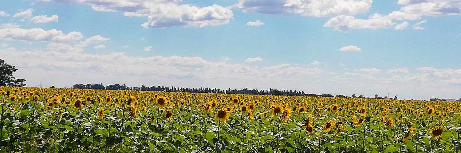 TaliRats_'s profile banner image