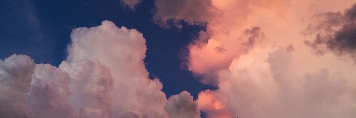 NVJWV's profile banner image