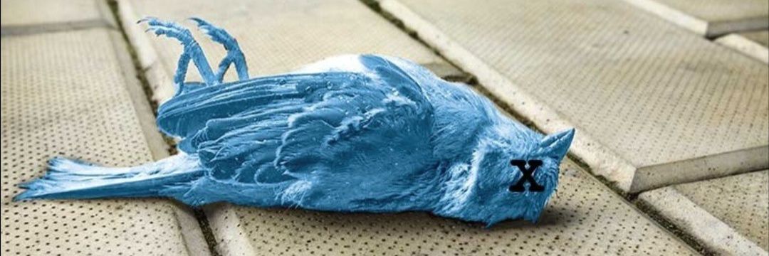 chiefpad.bsky.social banner