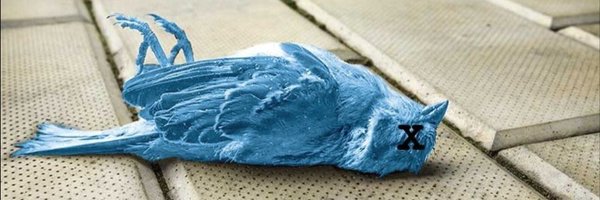 chiefpad Profile Banner