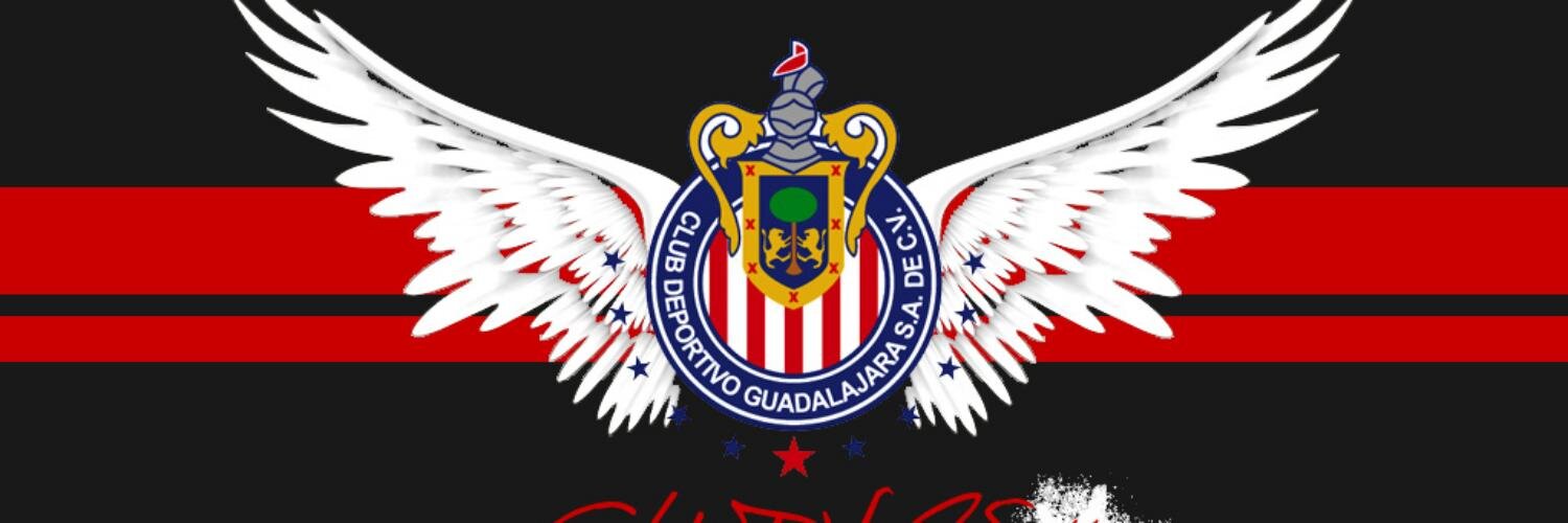 palillo31's profile banner image