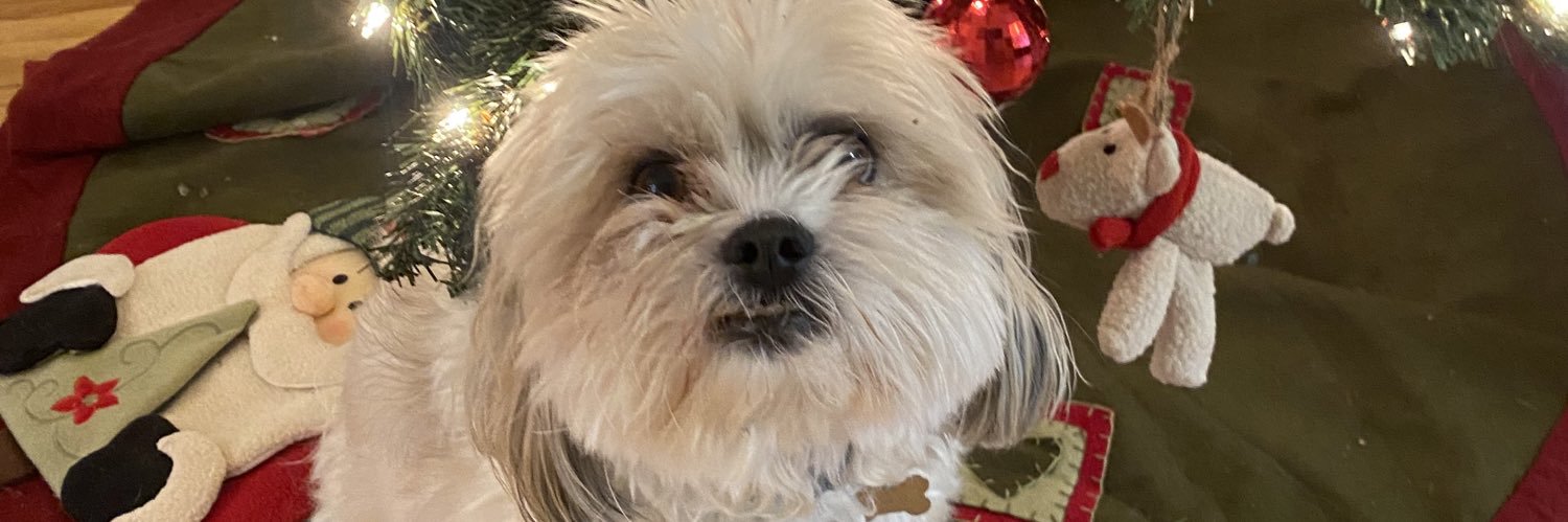 oreillyoreally's profile banner image