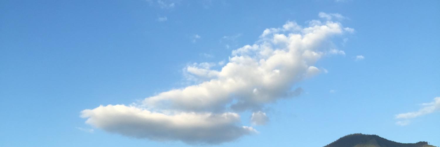 lddo0o's profile banner image
