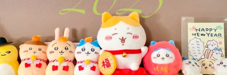ノンワレ🐢🪢's banner