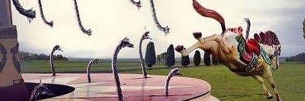 macacostabello's profile banner image