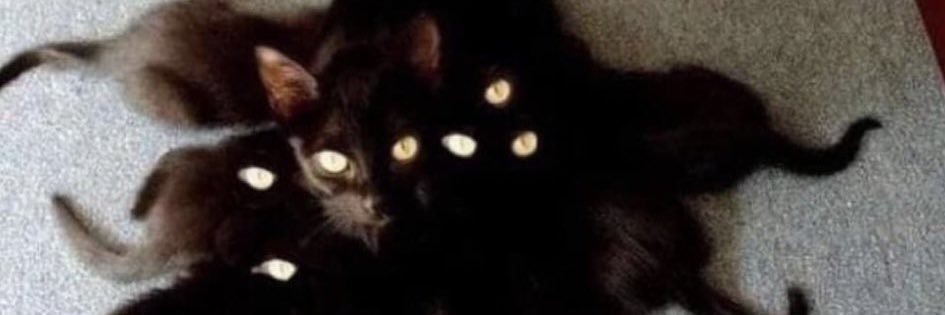ItsYEID_'s profile banner image