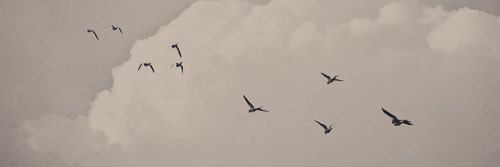 ssadagh's profile banner image