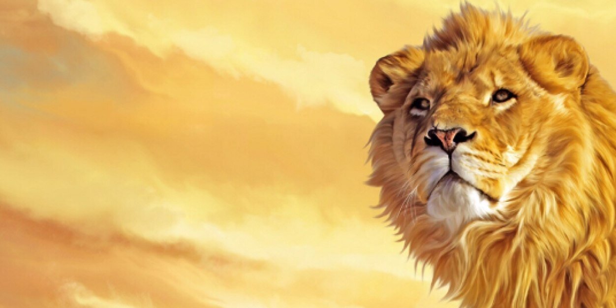Preacherbro's profile banner image