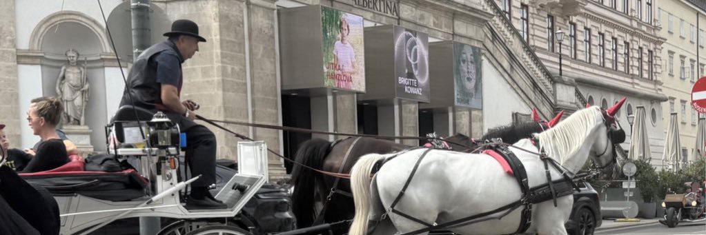 W banner