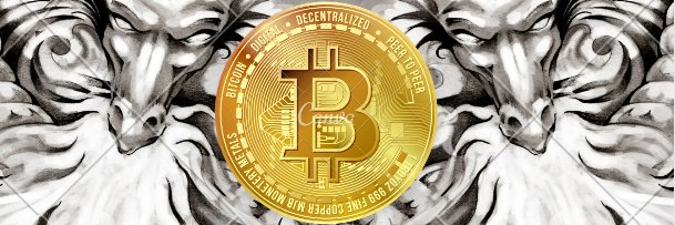 crypto 용왕 banner