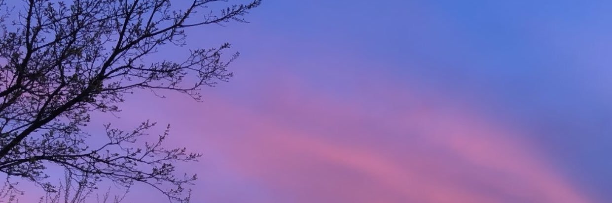 roro_adores_u's profile banner image