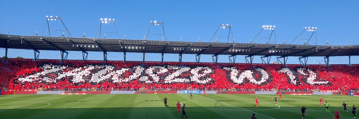 Wiktor banner